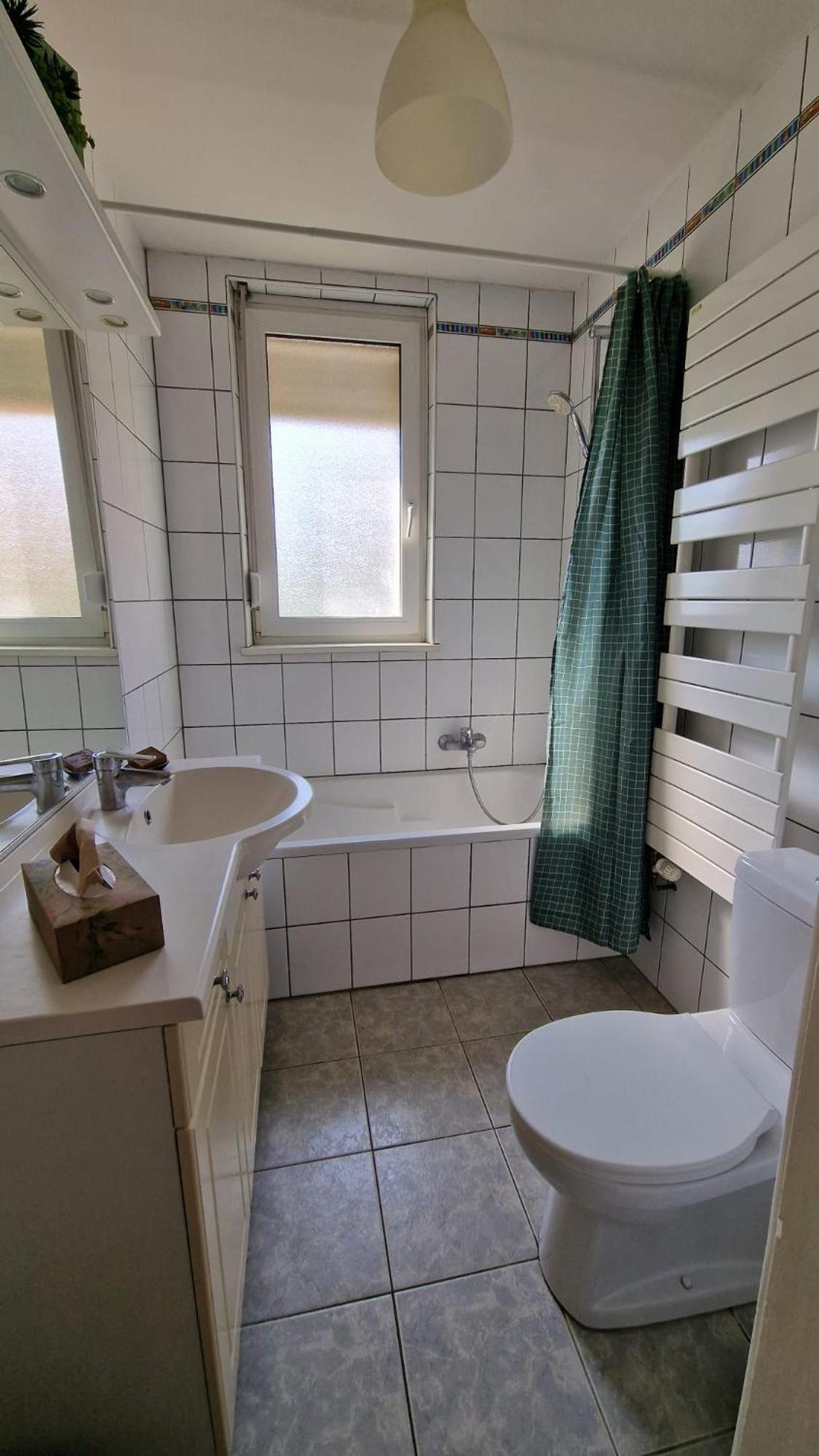 Logement Spacieux Strasbourg Proche Centre-Ville Ngoại thất bức ảnh
